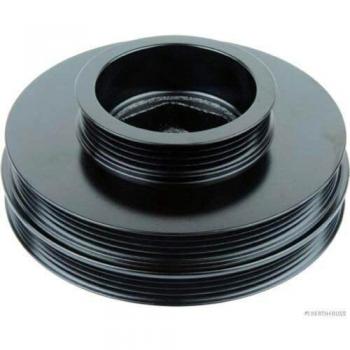 Polea de motor J1094002