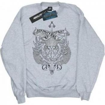 Sweat‑shirt enfant Harry Potter BI19696 – Couleur Gris