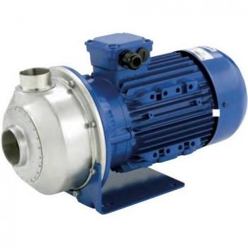 CO350 Lowara 1,1 kW Wasserpumpe