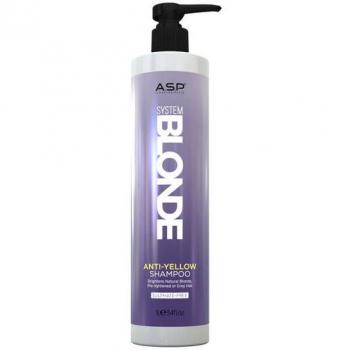 Champô Anti-Amarelo para Cabelos Loiros e Grisalhos 1000 ml