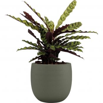 Cercle d’Aura : Pot Céramique 20 cm – Vert Olive