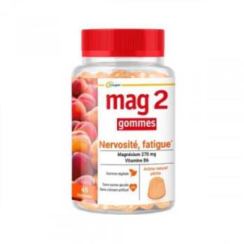 Mag2 Gommes Nervosité Fatigue Pêche 45