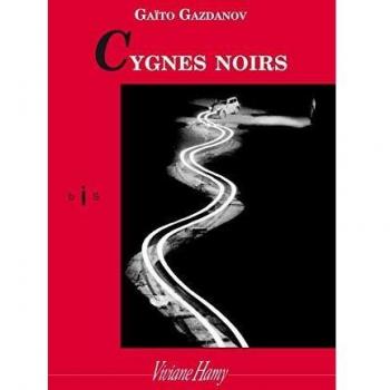 Cygnes noirs