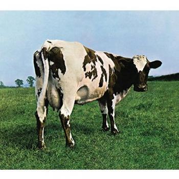 Atom heart mother (CD).
