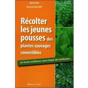 Récolter les jeunes pousses des plantes sauvages comestibles