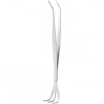 2-in-1 Bonsai Soil Tool: Stainless Steel Tweezers and Rake
