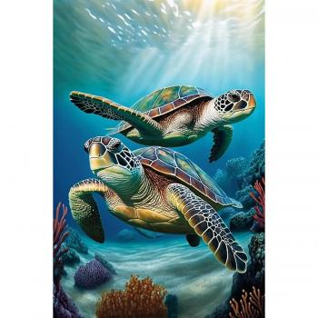 Tortues de Mer