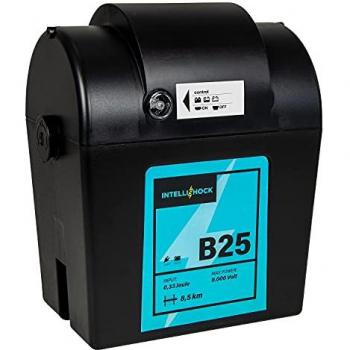 B25 Smart‑Shock 0,25 J