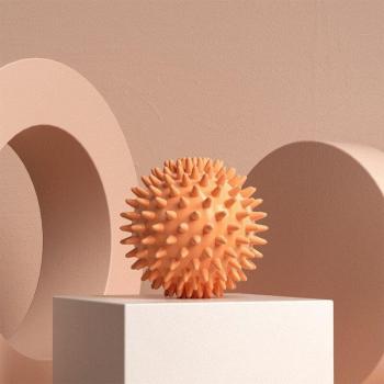 Pelota de Yoga y Terapia Muscular