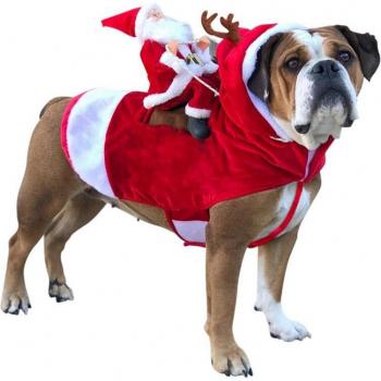 Warm Christmas Santa Pet Apparel