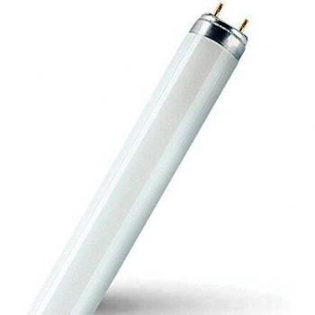 SubstiTUBE Star Glass T8 60 cm – Bianco Freddo 6500°K