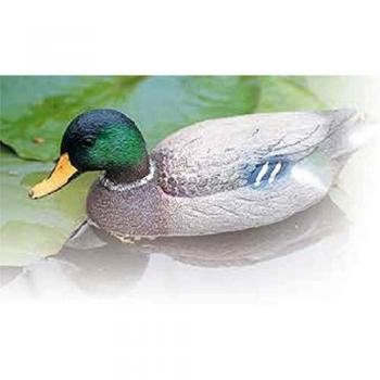 Altadex Ubbink Wilde Eend – Vento di Natura