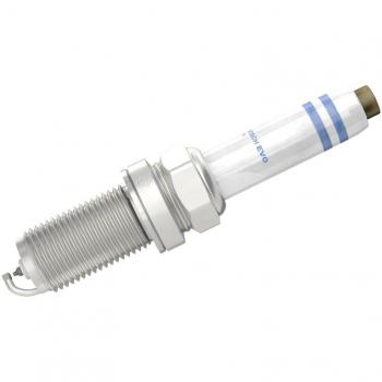BOSCH Bougie d'allumage Platine Iridium Evo 0 241 245 677