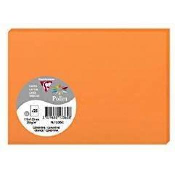 Carte Pollen Clairefontaine 110x155 210g x25