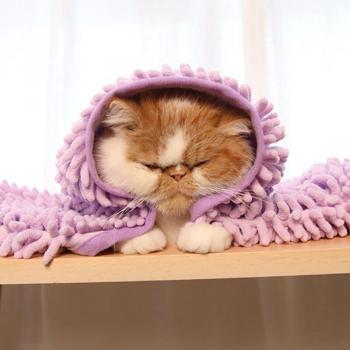 Serviette de séchage rapide pour animaux