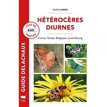 Hétérocères diurnes