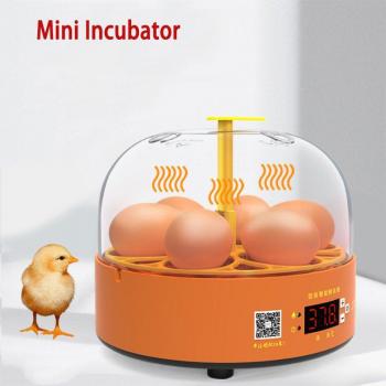 Machine à couver numérique 6 œufs