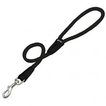 Ceinture de Sécurité pour Chien
