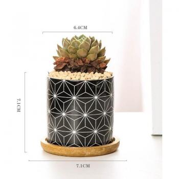 Geometric Patterned Planter for Succulents