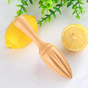 Manual Fruit Juice Extractor