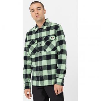 Dickies Hemd New Sacramento DK0A4XDZ Grün Regular Fit