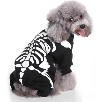 Teddy Dog Halloween Costume Jumpsuit