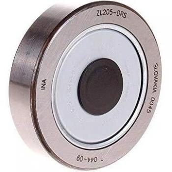 Perno rullo INA ZL205-DRS