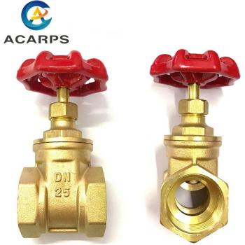 DN15 Brass Gate Valve