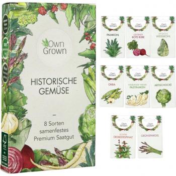 LERAVA® Garten Sonnenblumen Set