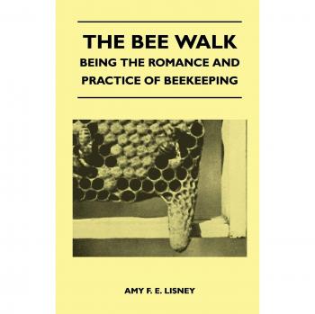 The Bee Walk