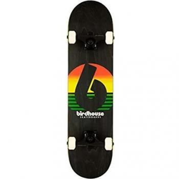 Rasta Skater Sunset House Stage 3