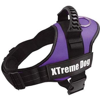 Arnés Xtreme Dog Lila Talla L