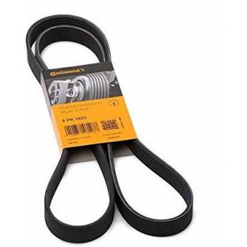 CONTITECH Cinghia Poly-V VW,AUDI,OPEL 6PK1623