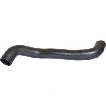 Manguera flexible de entrada BUGIAD 88750