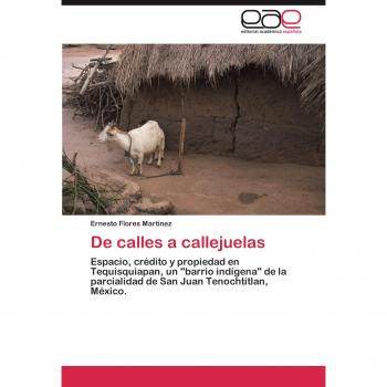 De calles a callejuelas: Espacio, crédito y propiedad en Tequisquiapan, un barrio indígena de la parcialidad de San Juan Tenochtitlan, México.