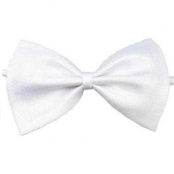 Stylish Pet Neckties