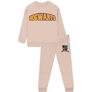 Boy’s Harry Potter School Set: Sweatshirt + Joggers, 6‑7 Years