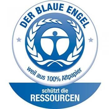 Esselte-Leitz Série A4 13240085 : Intercalaires A-Z, Classeurs 24, Papier certifié Ange Bleu, Gris