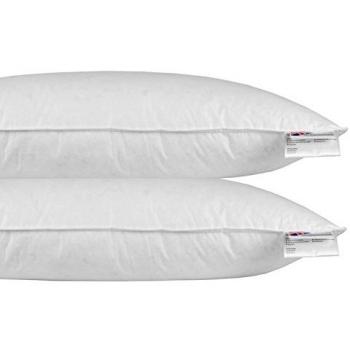Homescapes Microfibre Euro Continental Pillow Pair
