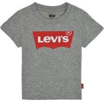 Levi's® Kids Batwing Tee SS