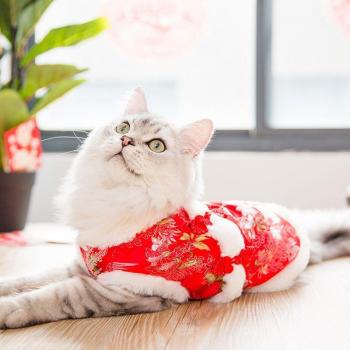 Traje festivo para perros y gatos