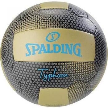 Gold & Grau Typhoon Spalding Strandball