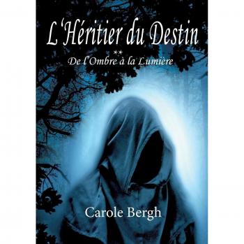 L'Héritier du Destin Tome 2: De l'Ombre à la Lumière