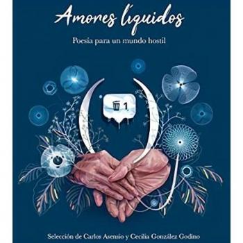Amores líquidos (Tapa dura).