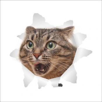 3D Vivid Cats Bathroom Decor Stickers