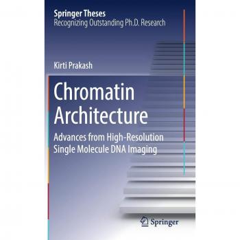 Chromatin Architecture: Advances From High-resolution Single Molecule DNA Imaging