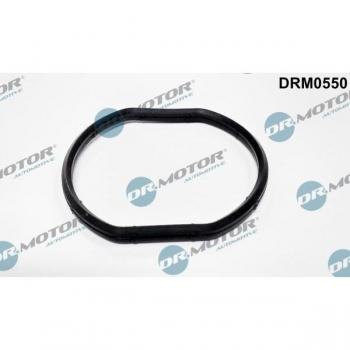 Gasket, thermostat housing