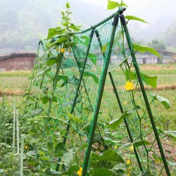 Enrejado de Nylon 1,8x0,9 m – Soporte Multiusos para Plantas y Frutas