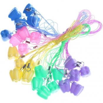 Child Tooth Souvenir Organizer