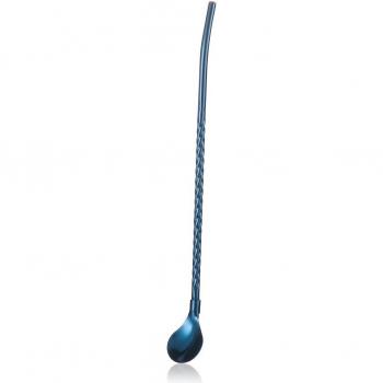 Paille en Acier Inoxydable – Mixeur de Boissons